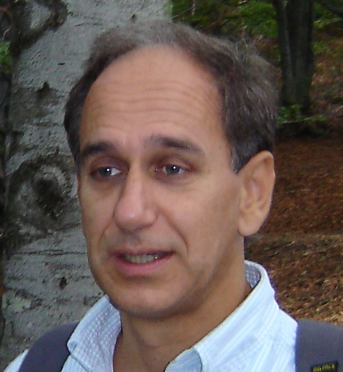 Guido Vitale, giornalista