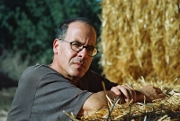 meir shalev