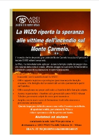 wizo